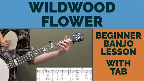  Wildwood Flower - A melancholic bluegrass ballad woven with intricate banjo melodies